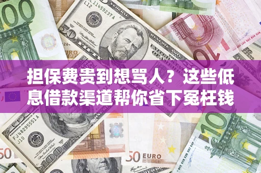 济南担保费贵到想骂人？这些低息借款渠道帮你省下冤枉钱