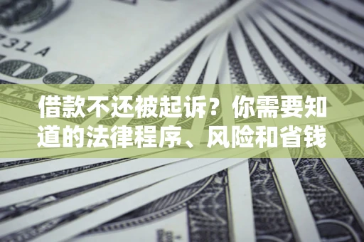 济南借款不还被起诉？你需要知道的法律程序、风险和省钱技巧